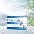 Neradin